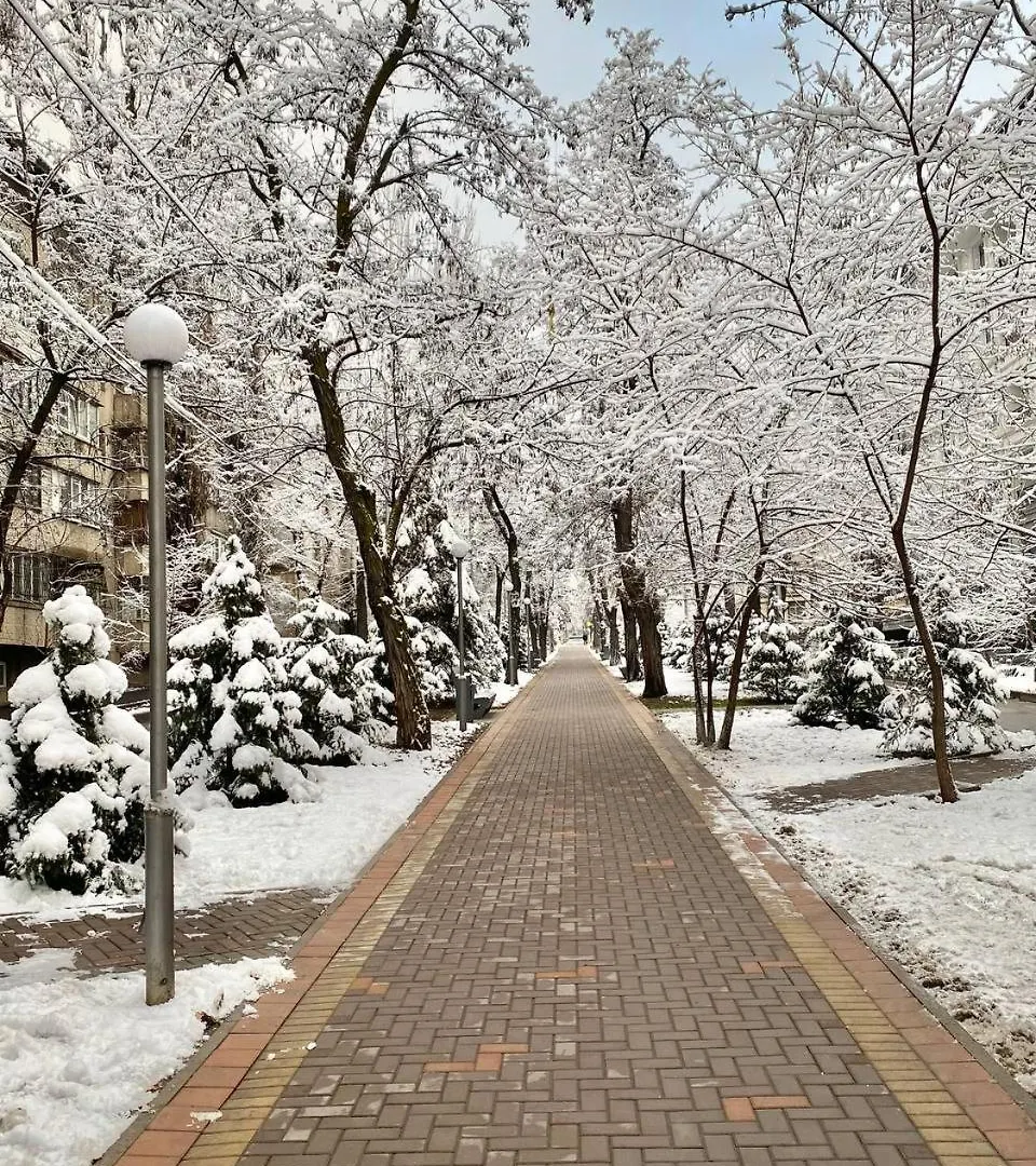 Alma-Ata Hostel 0*, Almaty Kazakhstan