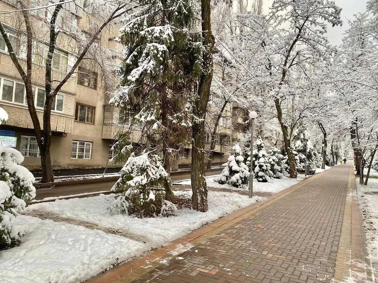 Alma-Ata Hostel