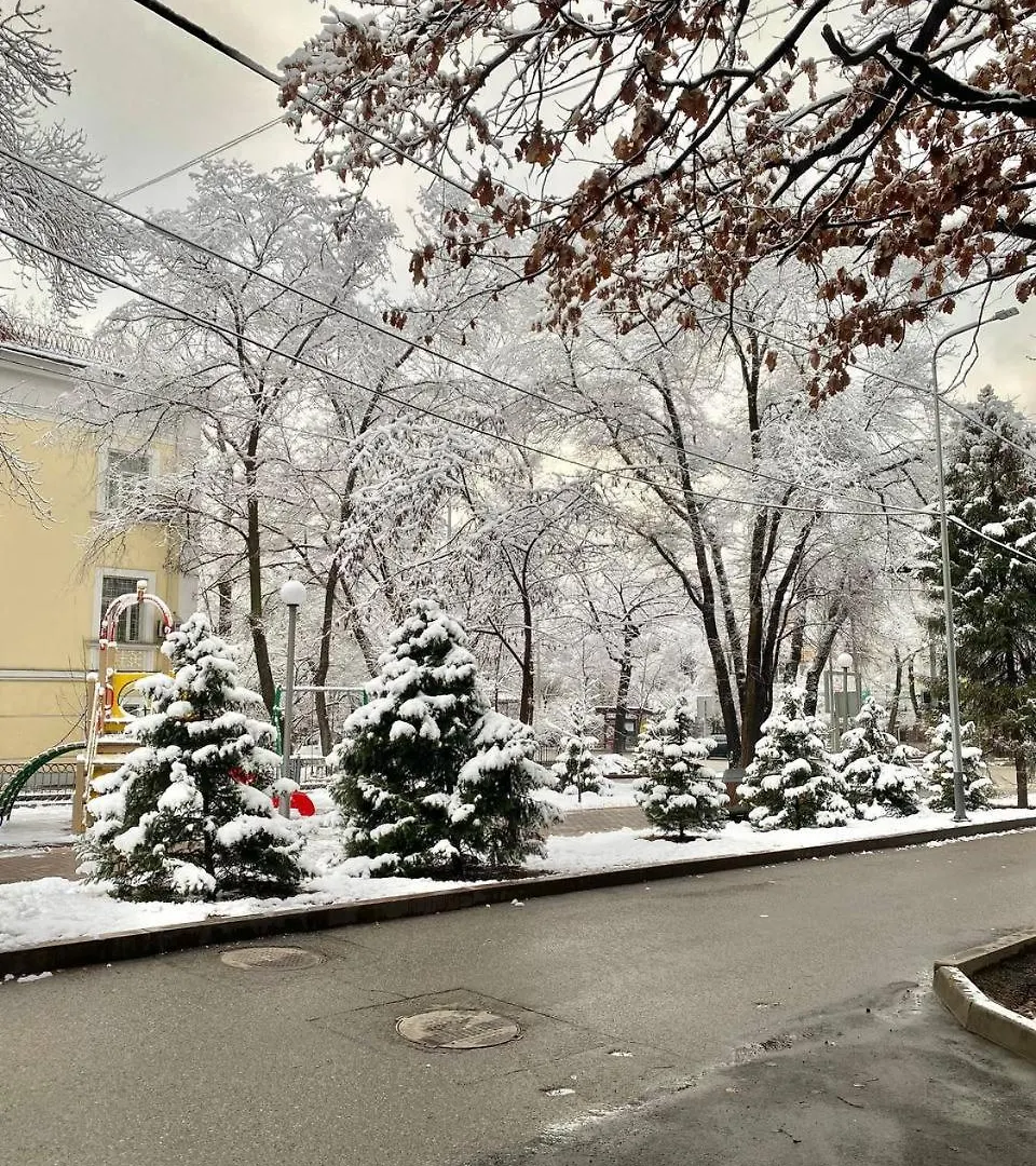 Alma-Ata Hostel  Almaty